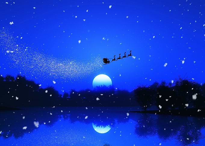 Reindeer