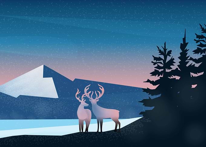 Reindeer