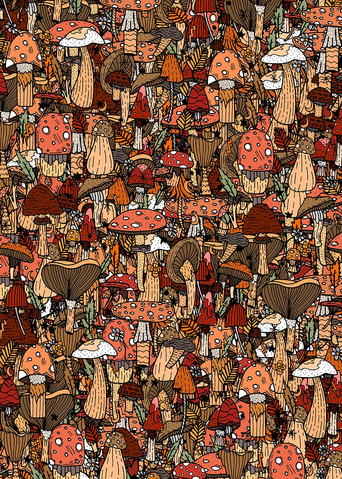 Autumnal mushrooms