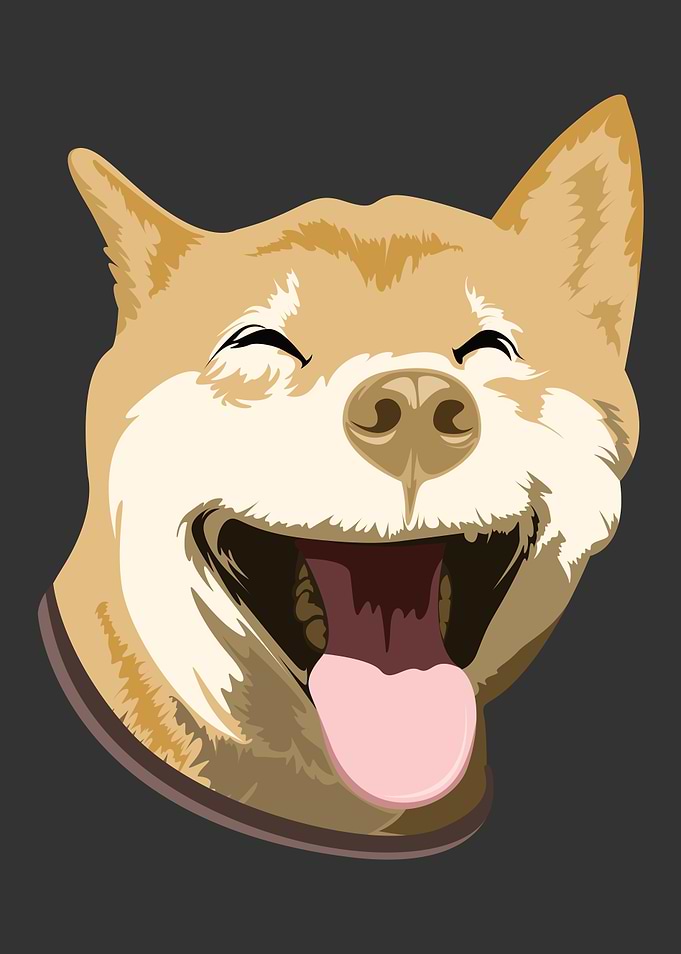 Funny Dog face