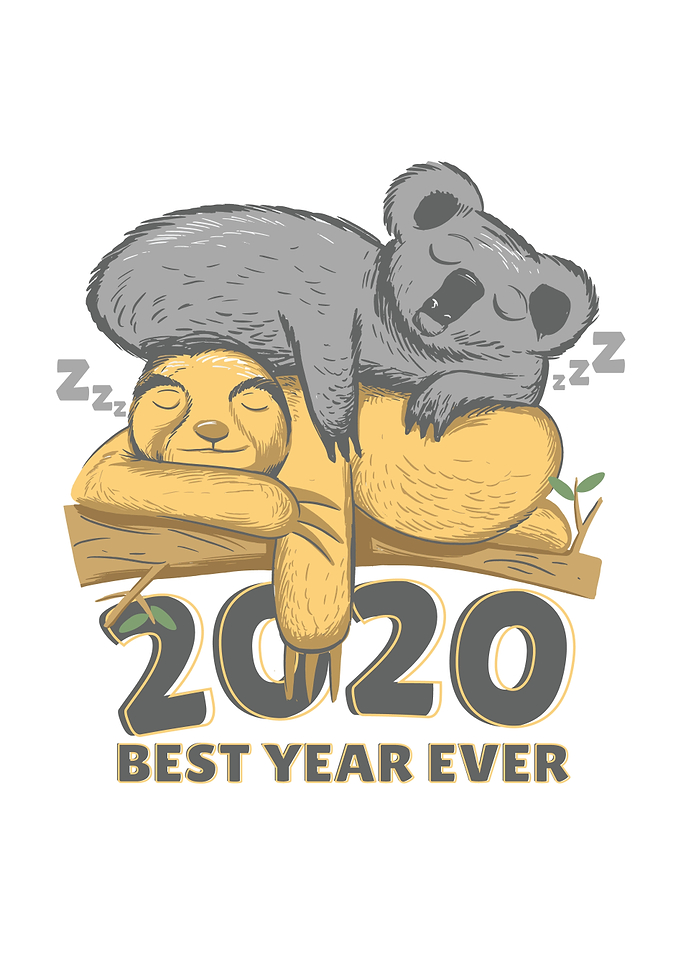 Funny koala Sloth Lazy