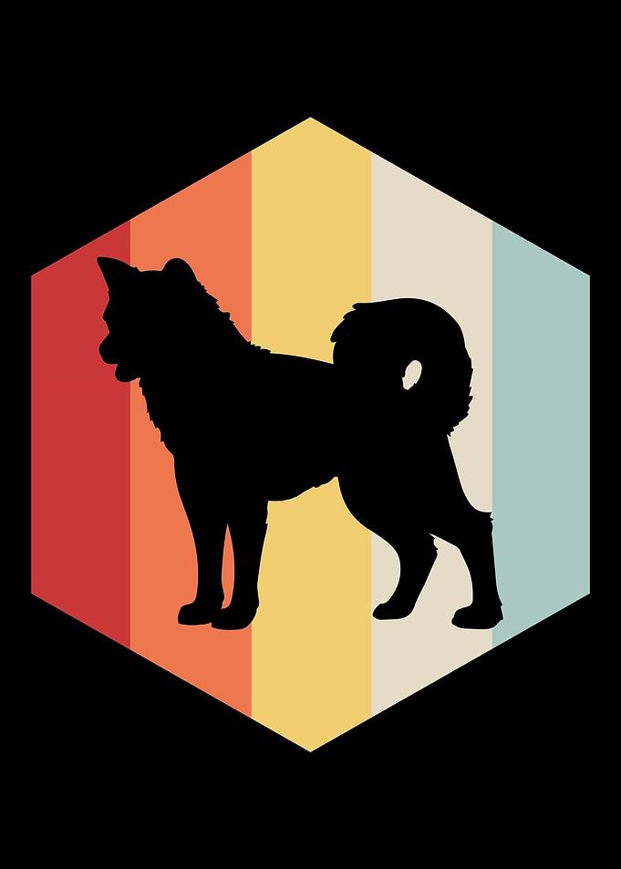 Akita Dog Retro Vintage