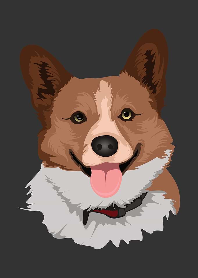 Cute Dog face