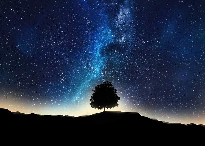 Night tree version 2