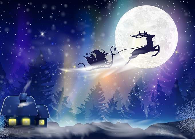 Reindeer