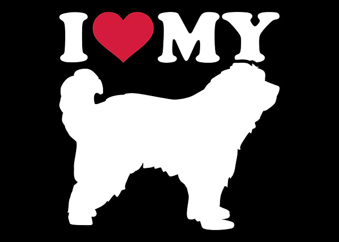 Pyrenees Shepherd