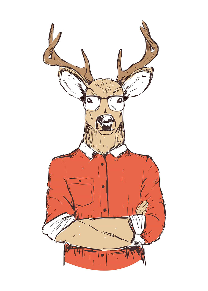 Reindeer