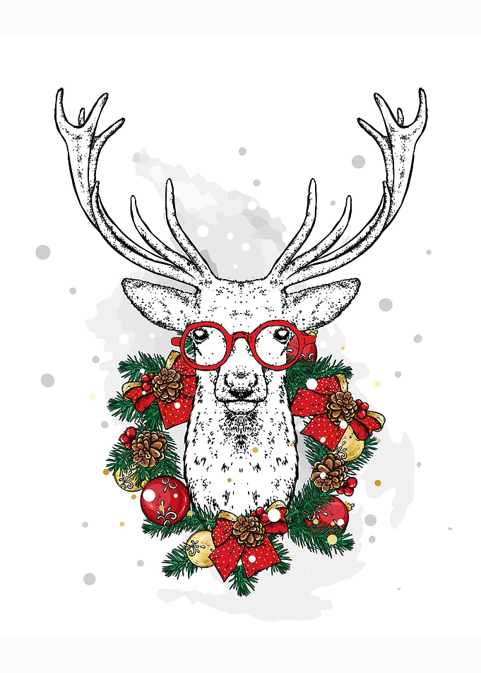 Reindeer