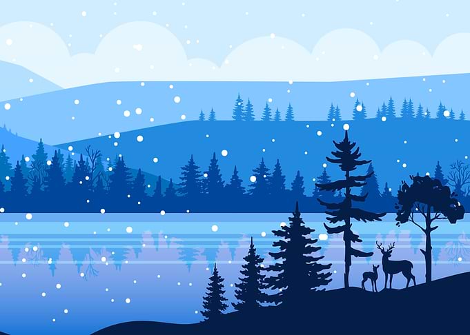 Reindeer