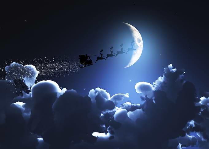Reindeer