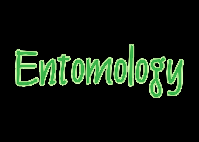 Entomologist Entomology