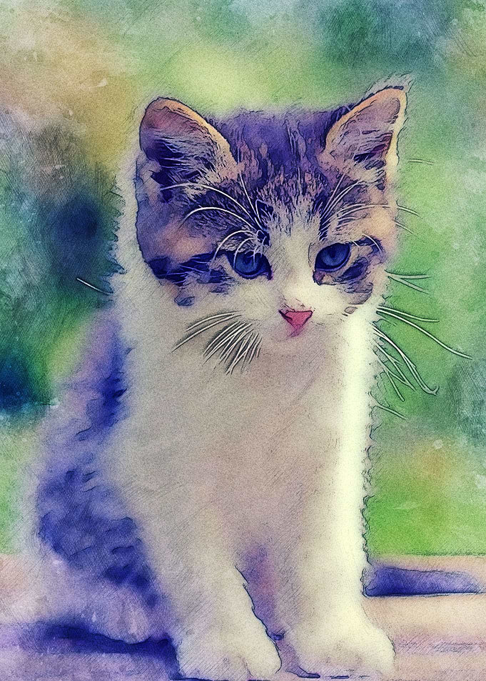 Cute Cat