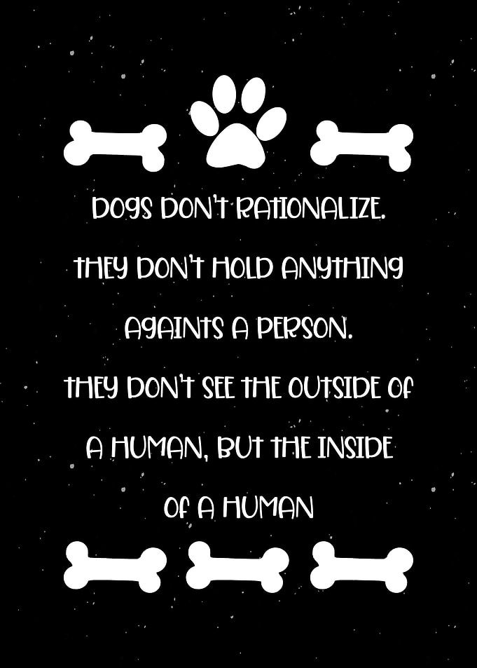 Dog Quote Wall Art