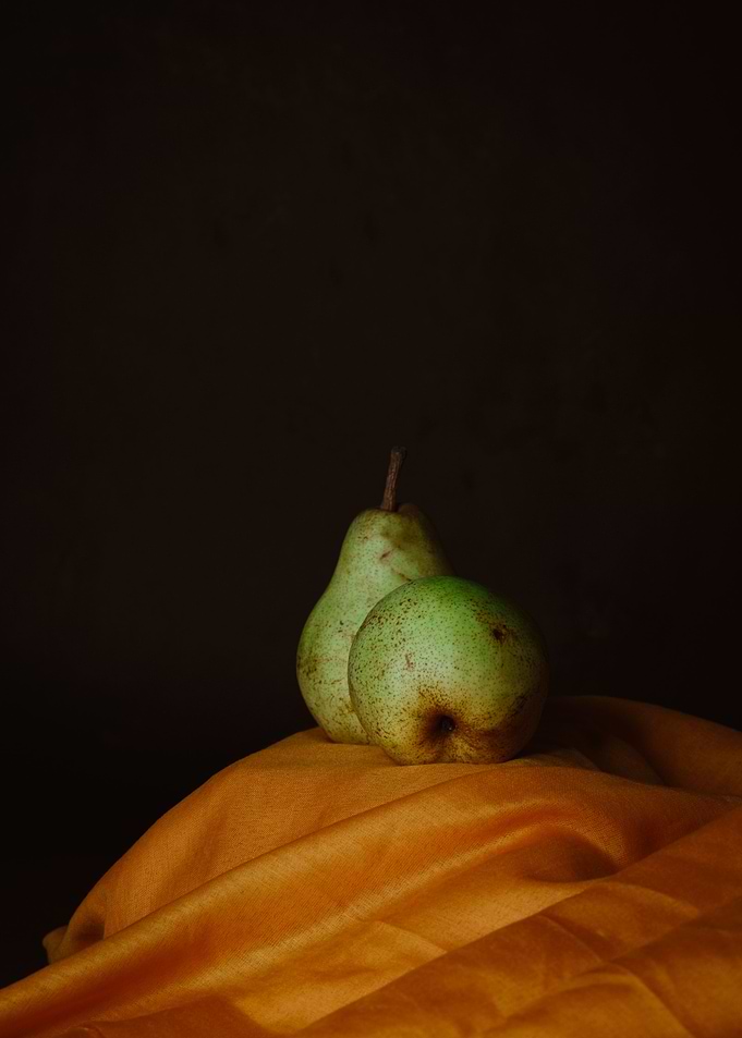 Classic still life