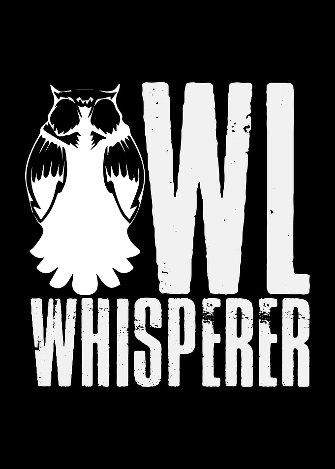 Owl Whisperer Owls Bird