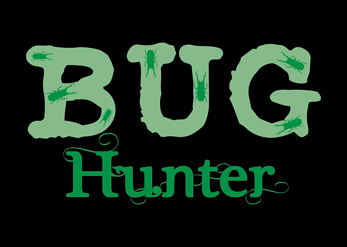 Bug Hunter Insects Insect