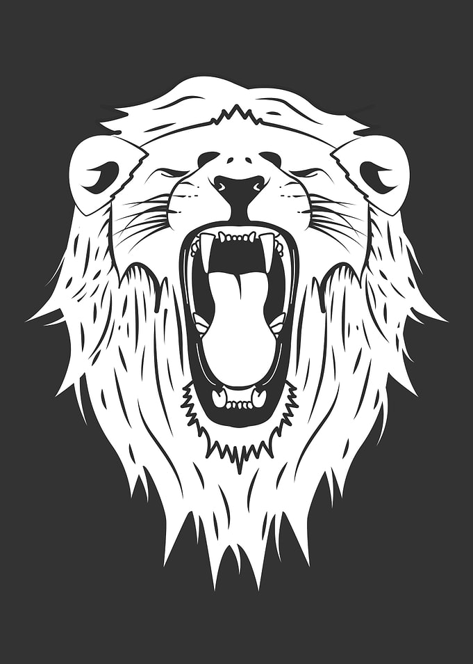 Lion rawr Cute Animals