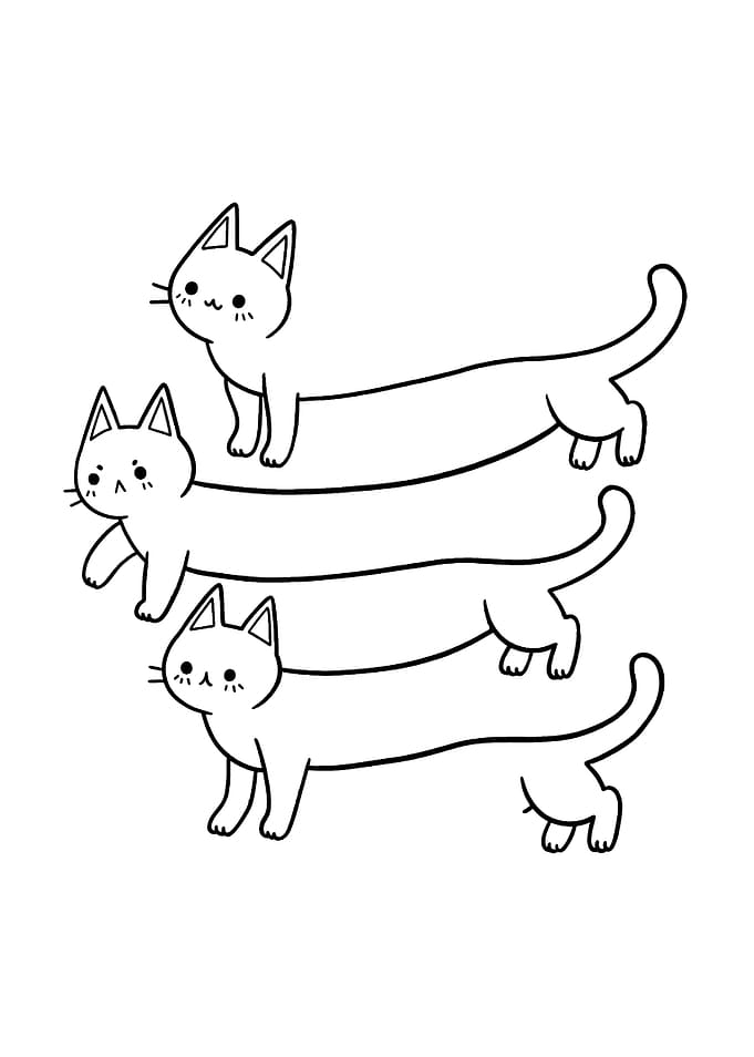 Illusion of Cats