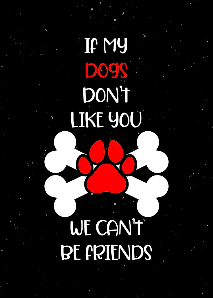 If My Dogs Dont Like You
