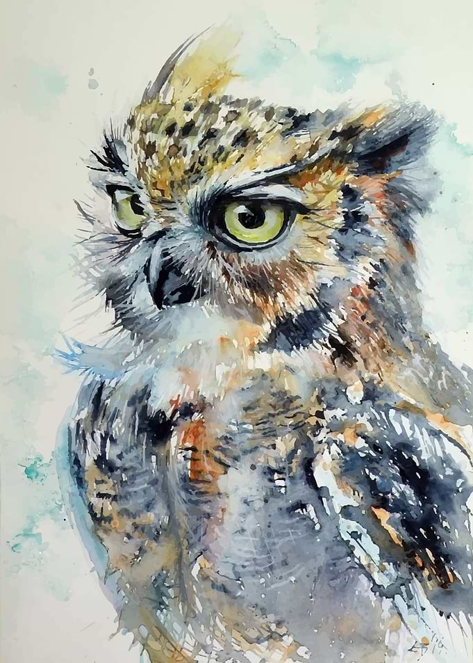 Angry Owl