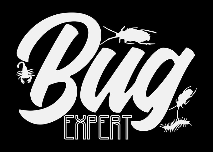 Bug Expert Entomology