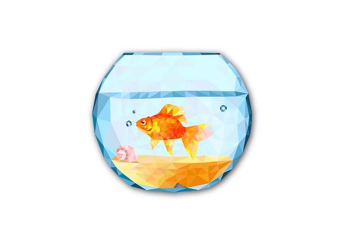 Fish Bowl