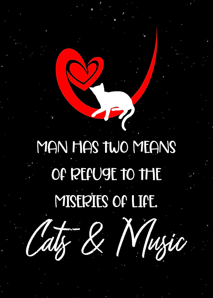 Cat And Music Wall Art