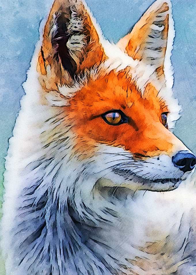 Fox
