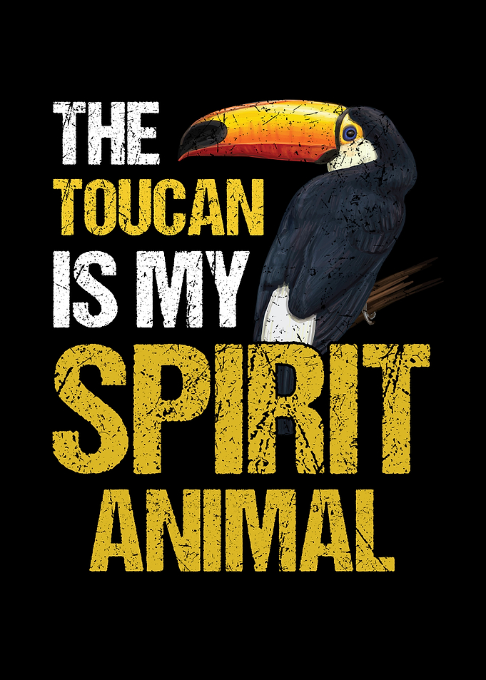 Tukan Vogel Regenwald