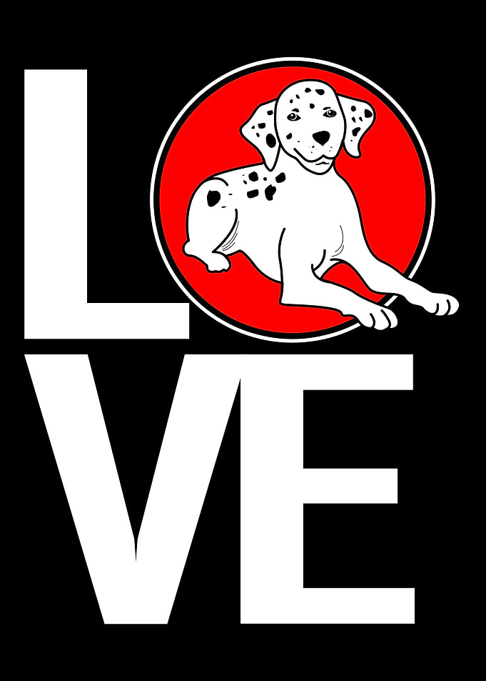 Dalmatian Love Dog Owner