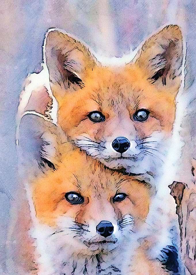 Twins Fox