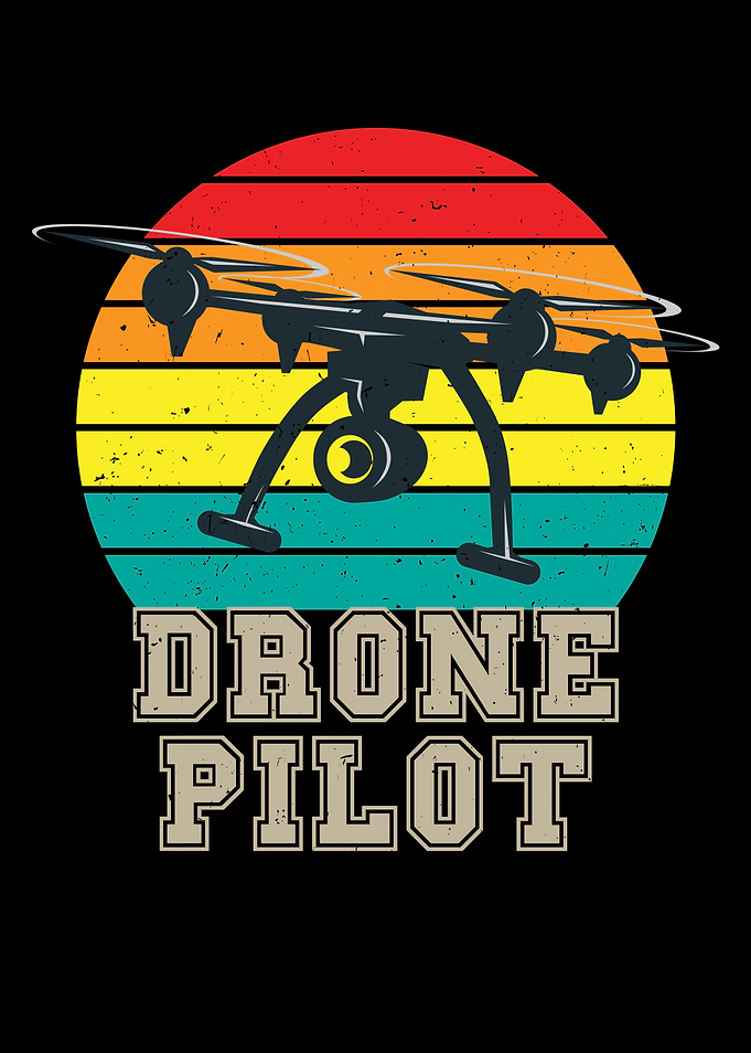 Quadrocopter Drone Pilot