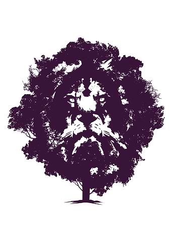 Lion Tree Animals Wildlife