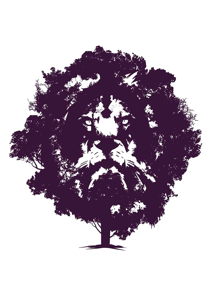 Lion Tree Animals Wildlife