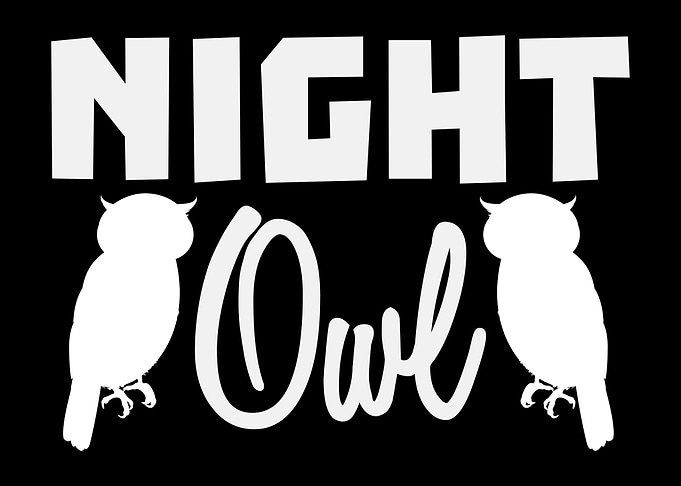 Night Owl Owls Eagle