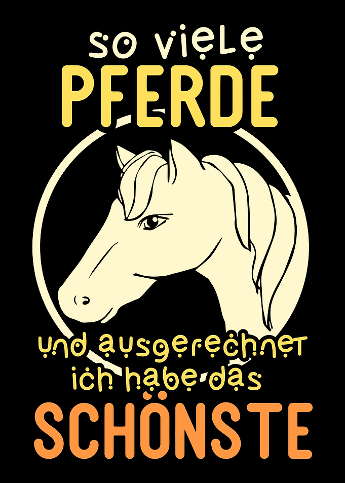 Horse Horse Lover