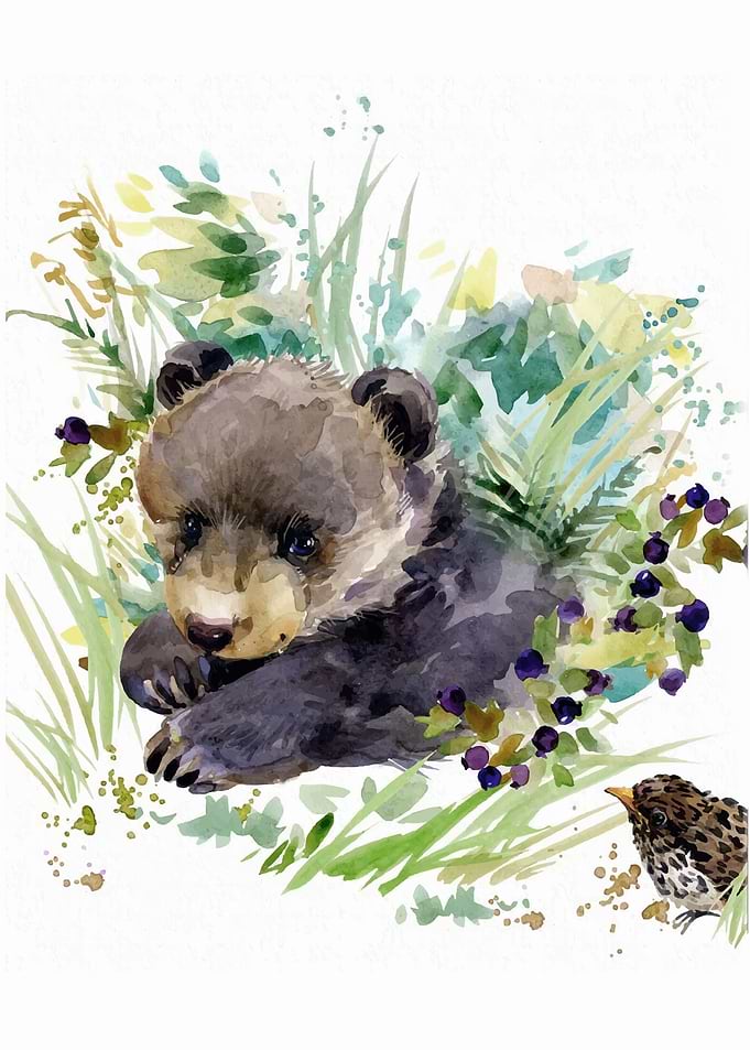 Bear Cub Animal