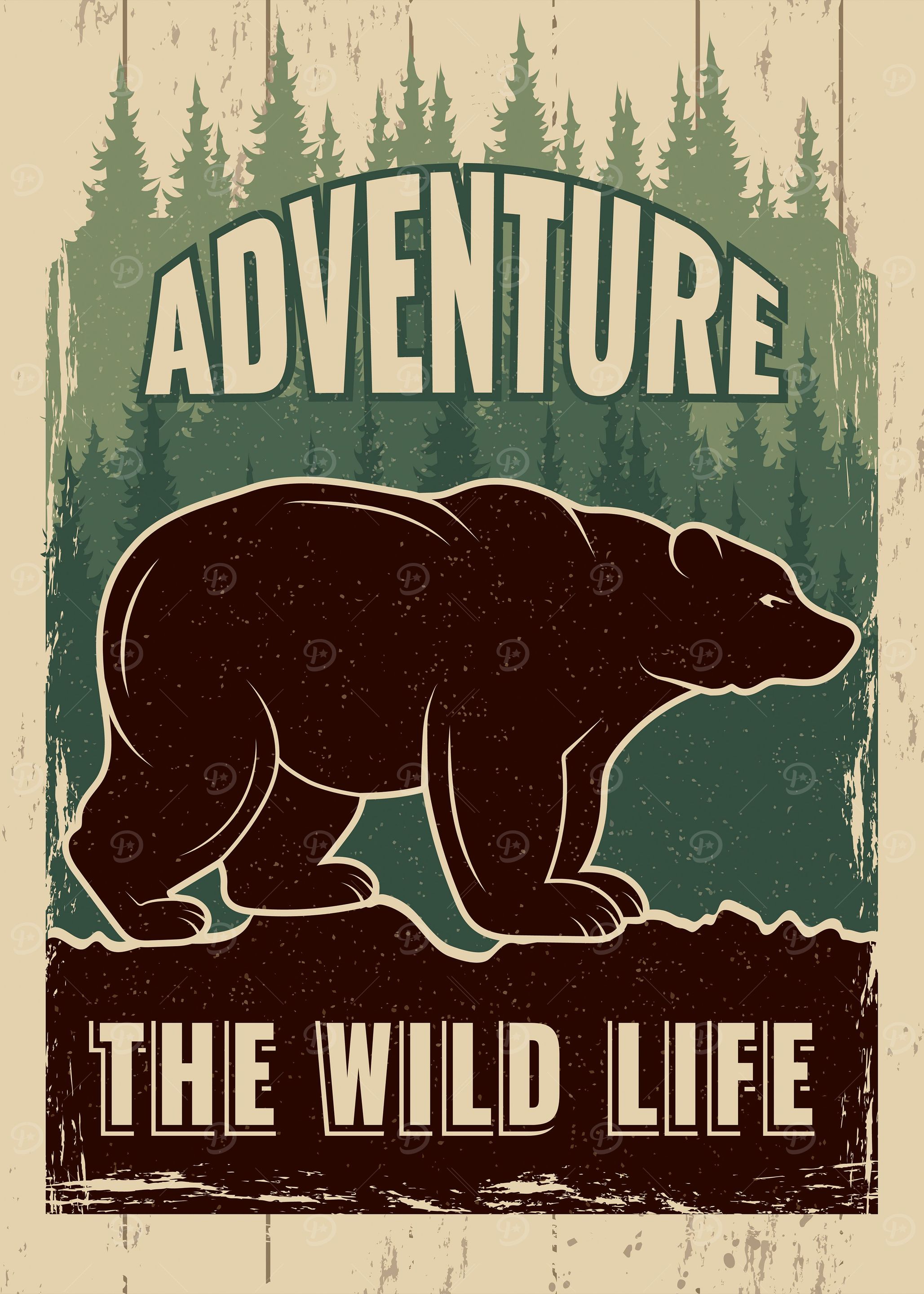 Bear