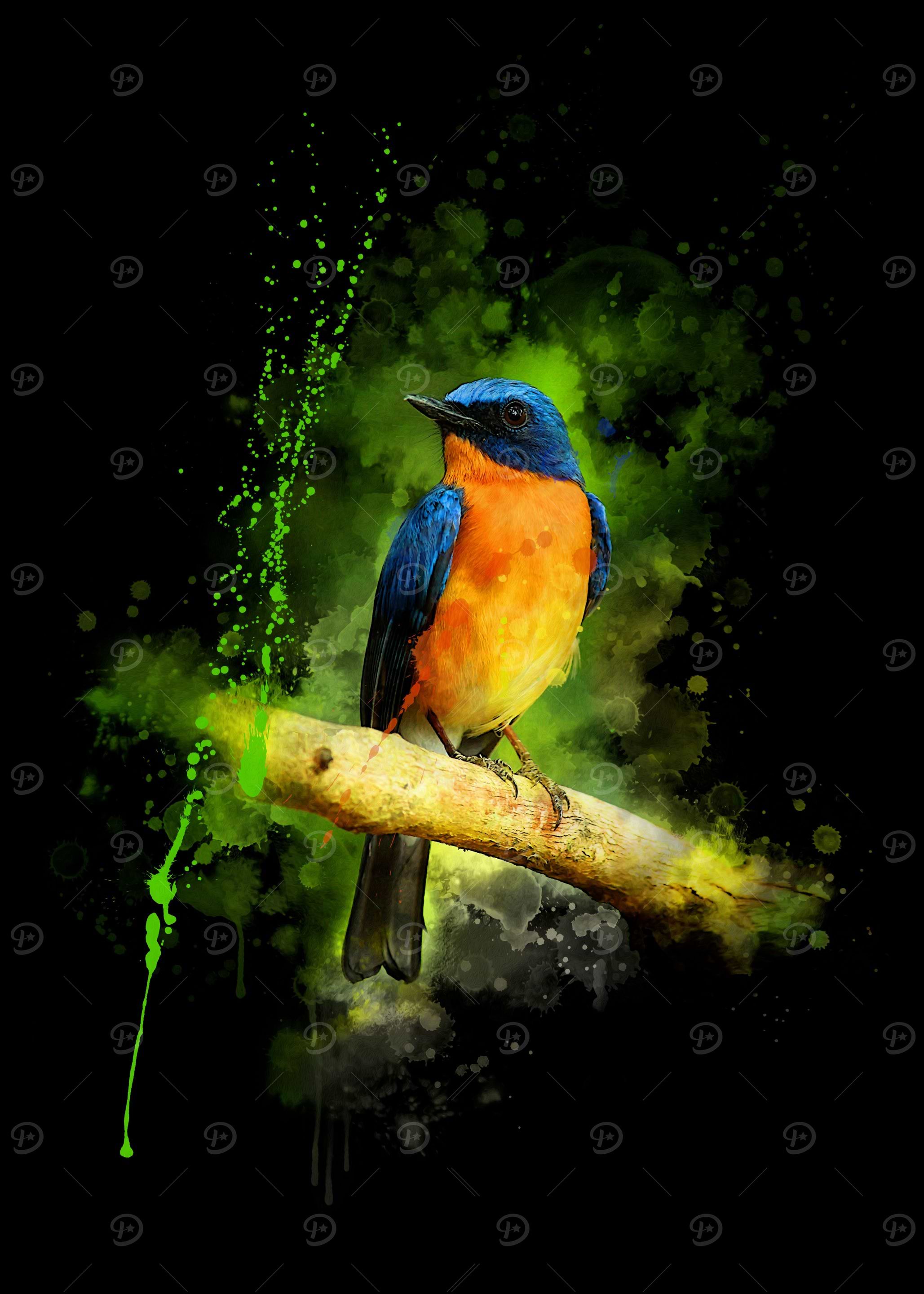 Tickells Blue Flycatcher