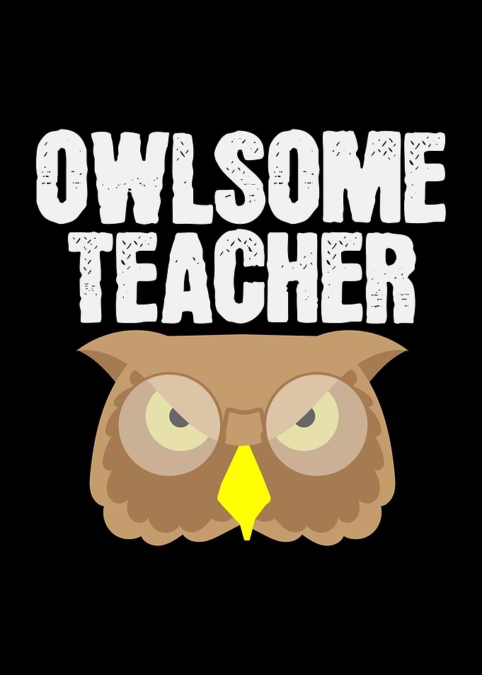 Owlsome Teacher Teachers