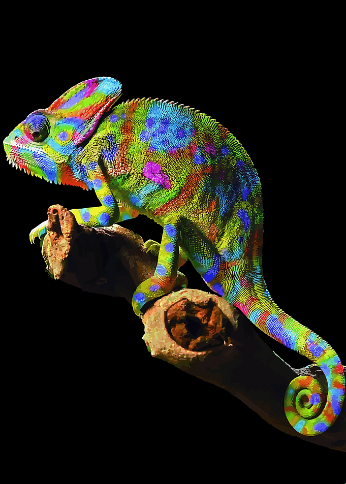 Chameleons or chamaeleons