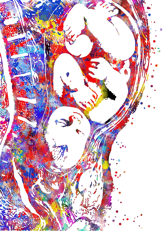 Pregnancy