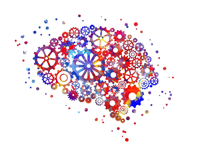 Brain