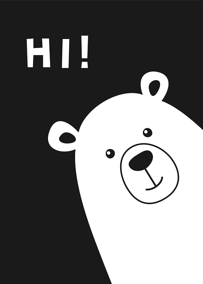 Bear