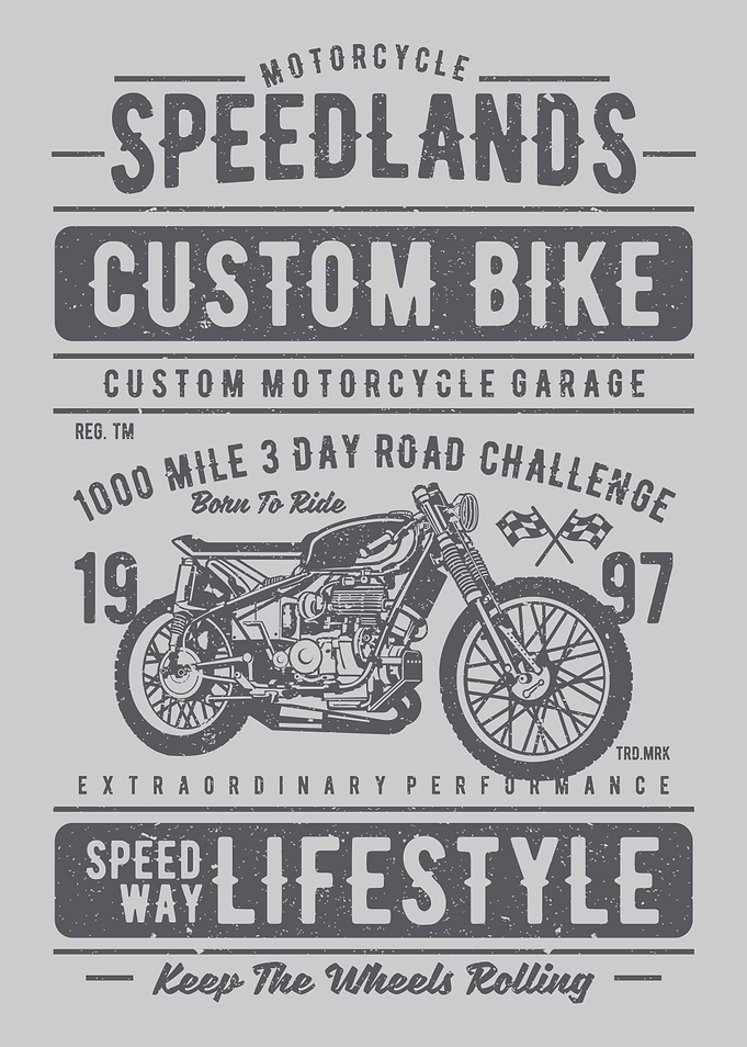 Speedlands Custom Bike 2