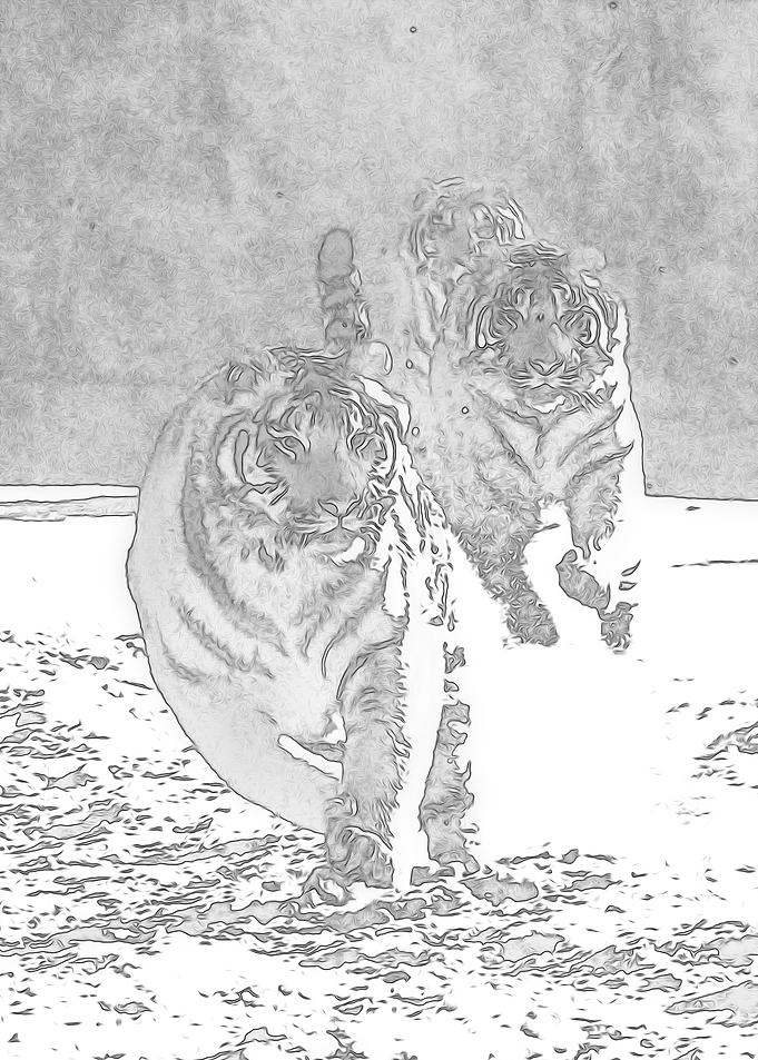 Animals 2