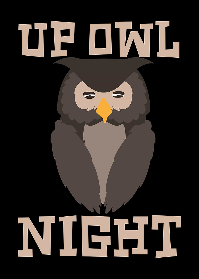 Up Owl Night Owls Birds