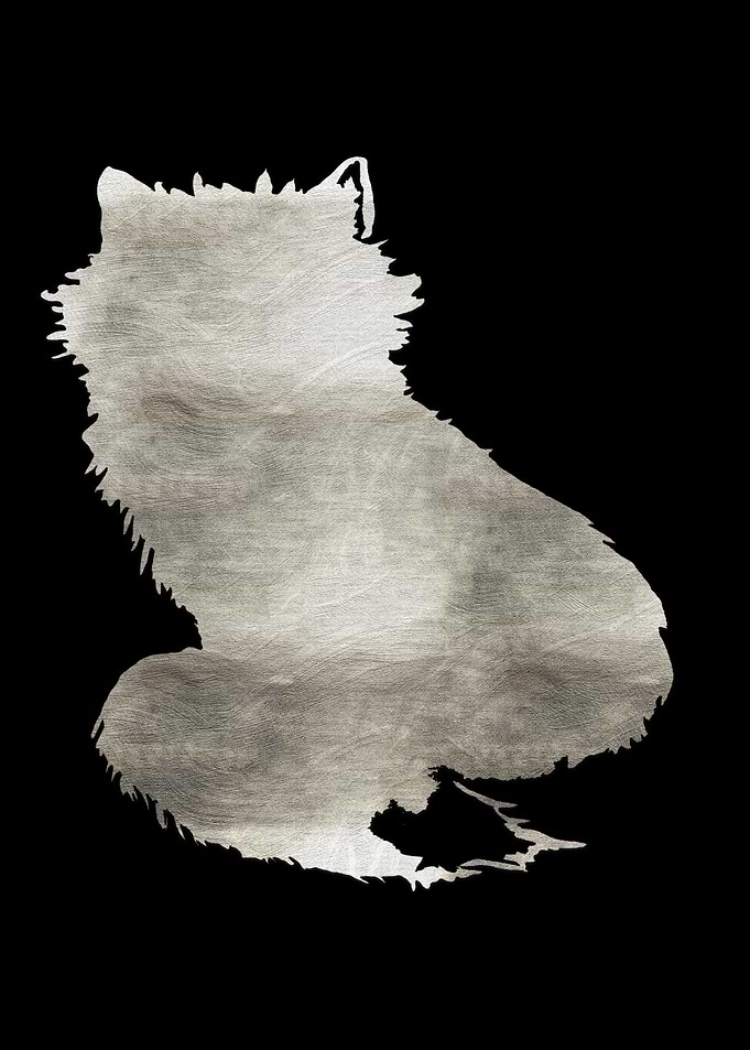 Foxes gift