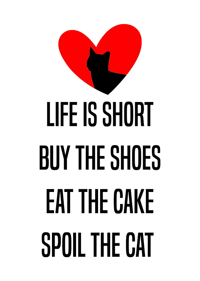 Spoil The Cat Quote Decor
