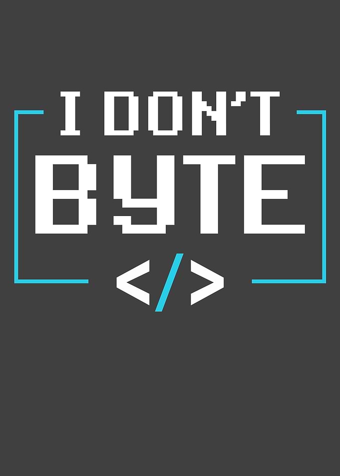 Programmer Gift I dont